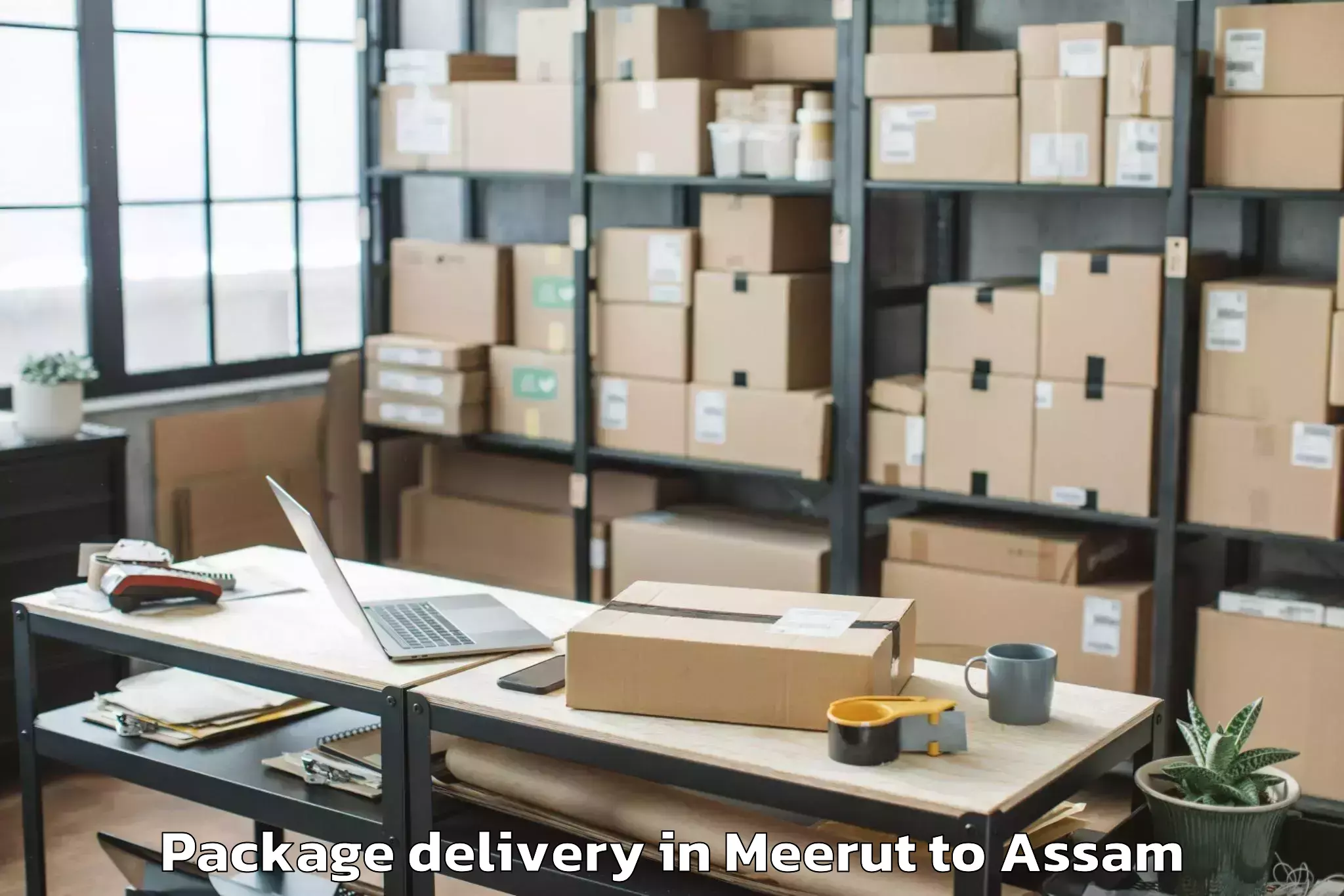 Top Meerut to Howraghat Package Delivery Available